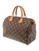 Louis Vuitton LV Monogram Speedy 30