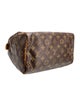 Louis Vuitton LV Monogram Speedy 25