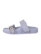 Louis Vuitton Canvas Printed Slides