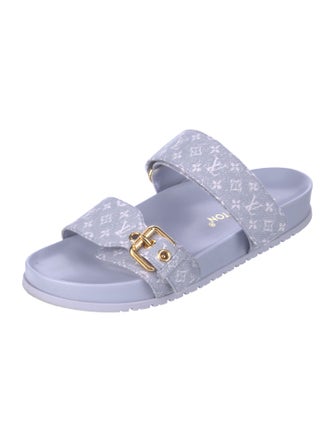 Louis Vuitton Canvas Printed Slides