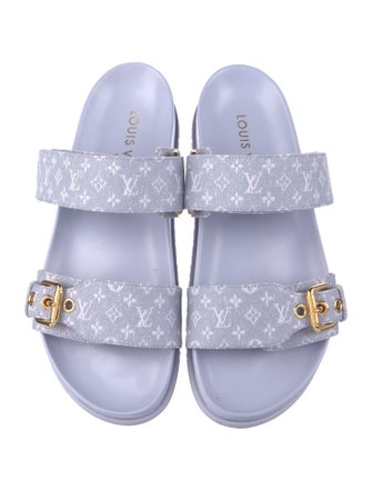 Louis Vuitton Canvas Printed Slides