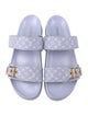 Louis Vuitton Canvas Printed Slides
