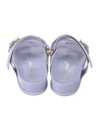 Louis Vuitton Canvas Printed Slides