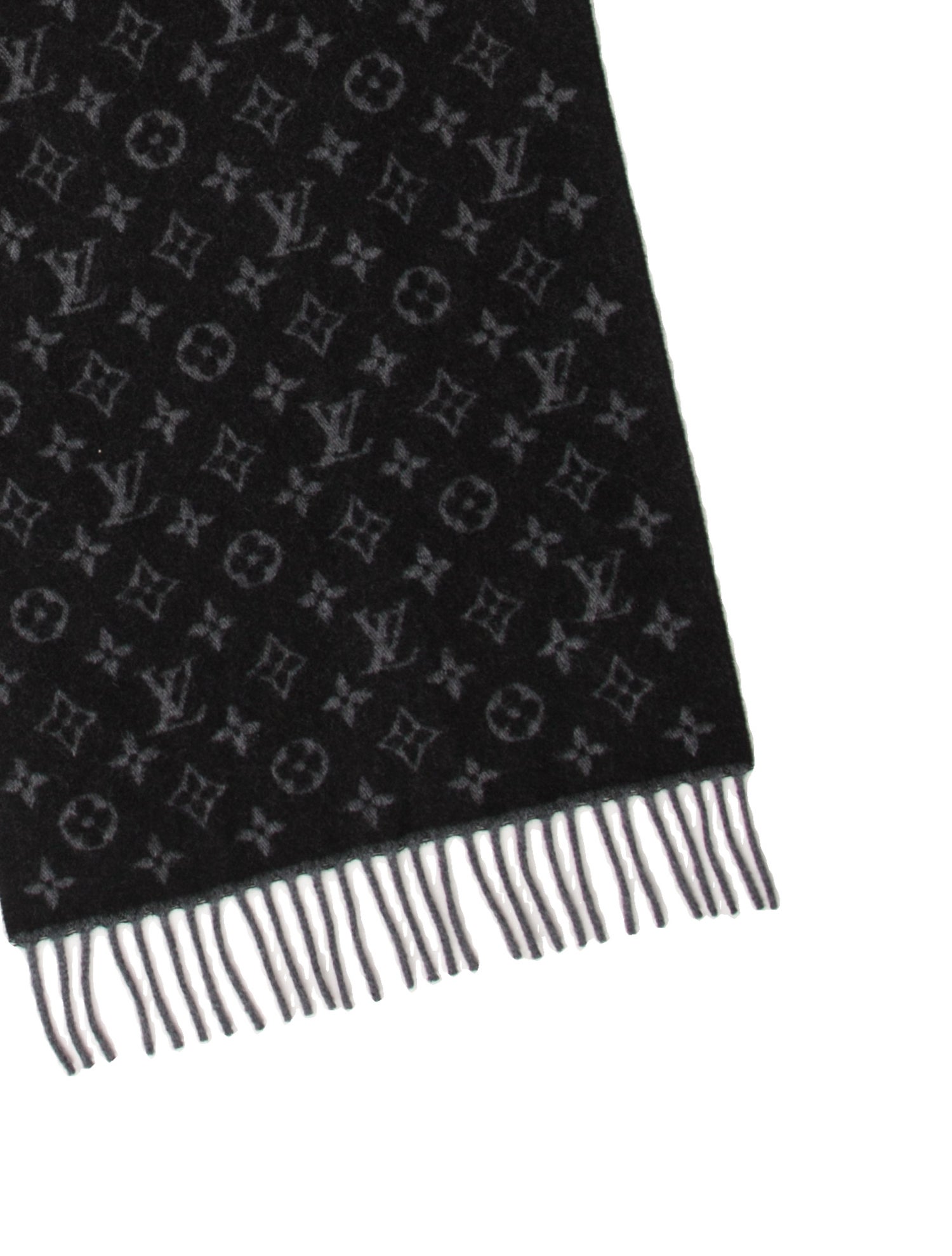Louis Vuitton 2021 LV Monogram Scarf