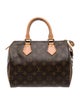 Louis Vuitton LV Monogram Speedy 25