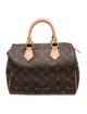 Louis Vuitton LV Monogram Speedy 25
