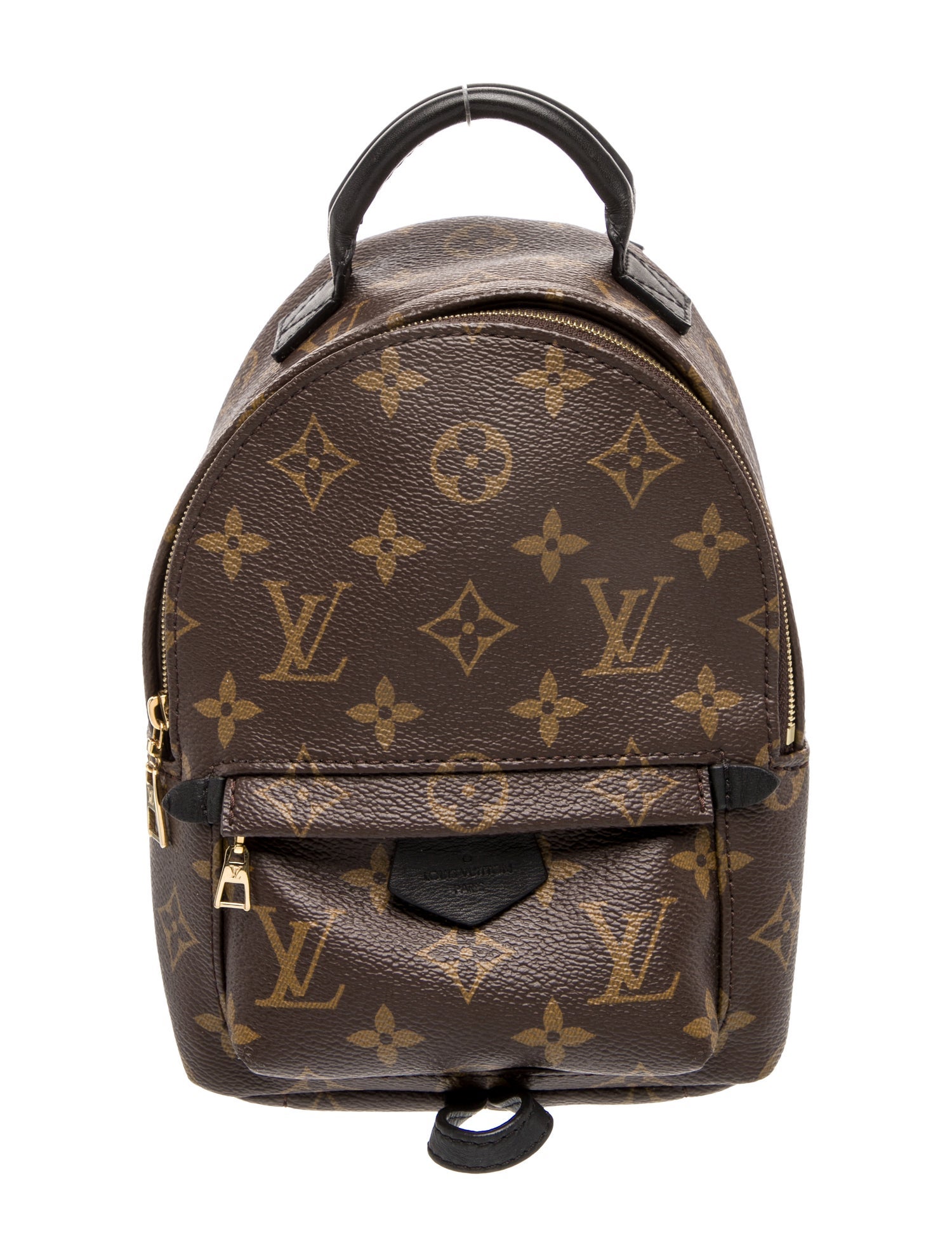 Louis Vuitton LV Monogram Palm Springs Mini