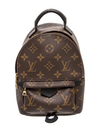 Louis Vuitton LV Monogram Palm Springs Mini