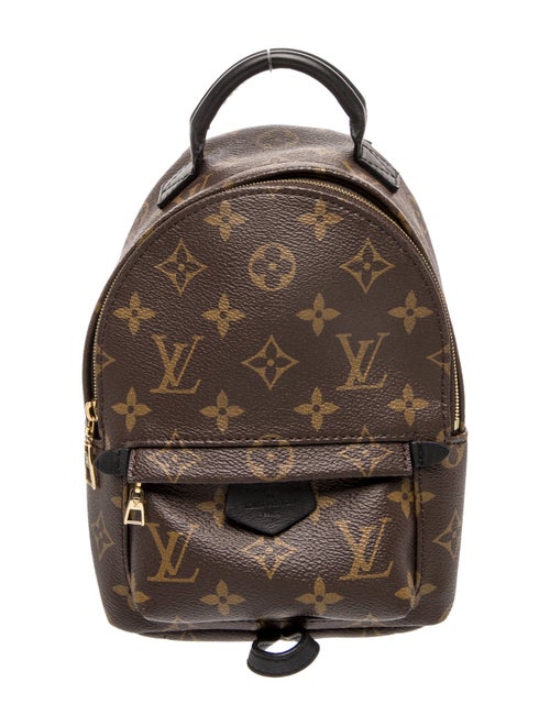 Louis Vuitton LV Monogram Palm Springs Mini