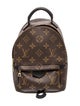 Louis Vuitton LV Monogram Palm Springs Mini