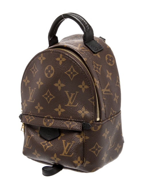 Louis Vuitton LV Monogram Palm Springs Mini