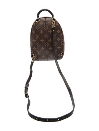 Louis Vuitton LV Monogram Palm Springs Mini