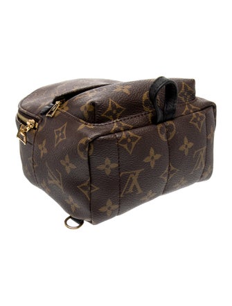 Louis Vuitton LV Monogram Palm Springs Mini