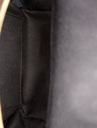 Louis Vuitton LV Monogram Palm Springs Mini