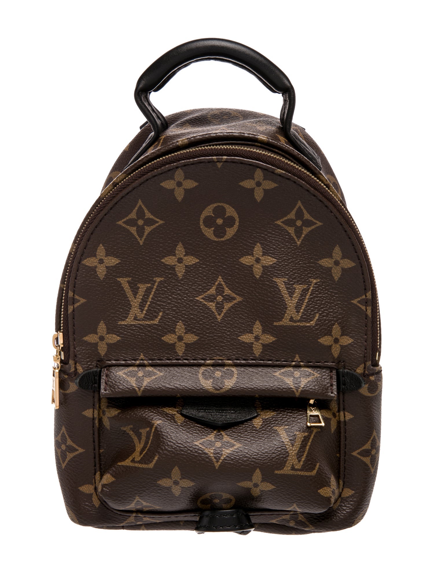 Louis Vuitton LV Monogram Palm Springs Mini