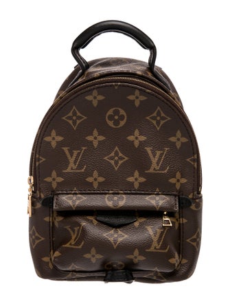 Louis Vuitton LV Monogram Palm Springs Mini
