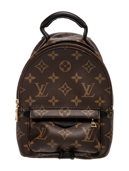 Louis Vuitton LV Monogram Palm Springs Mini
