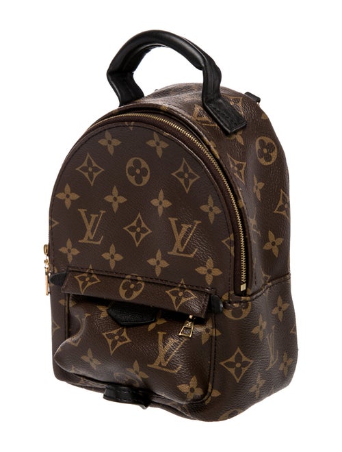Louis Vuitton LV Monogram Palm Springs Mini