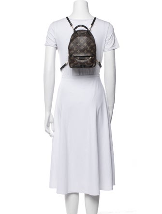 Louis Vuitton LV Monogram Palm Springs Mini