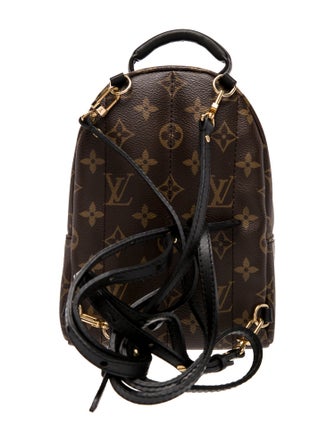 Louis Vuitton LV Monogram Palm Springs Mini