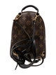 Louis Vuitton LV Monogram Palm Springs Mini