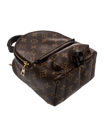 Louis Vuitton LV Monogram Palm Springs Mini
