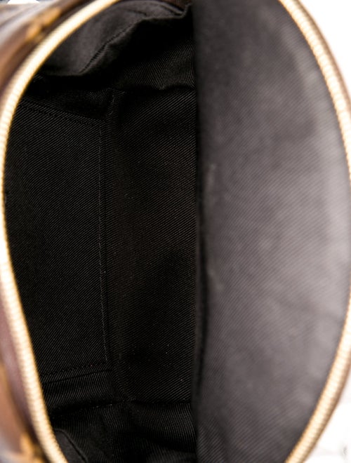 Louis Vuitton LV Monogram Palm Springs Mini