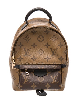 Louis Vuitton LV Monogram Palm Springs Mini