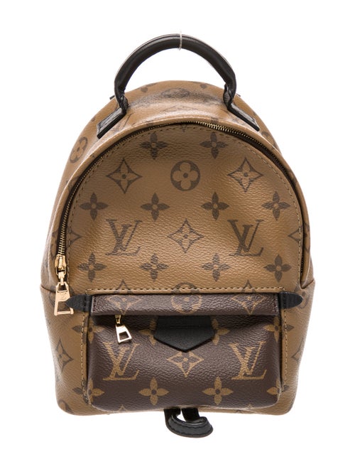 Louis Vuitton LV Monogram Palm Springs Mini