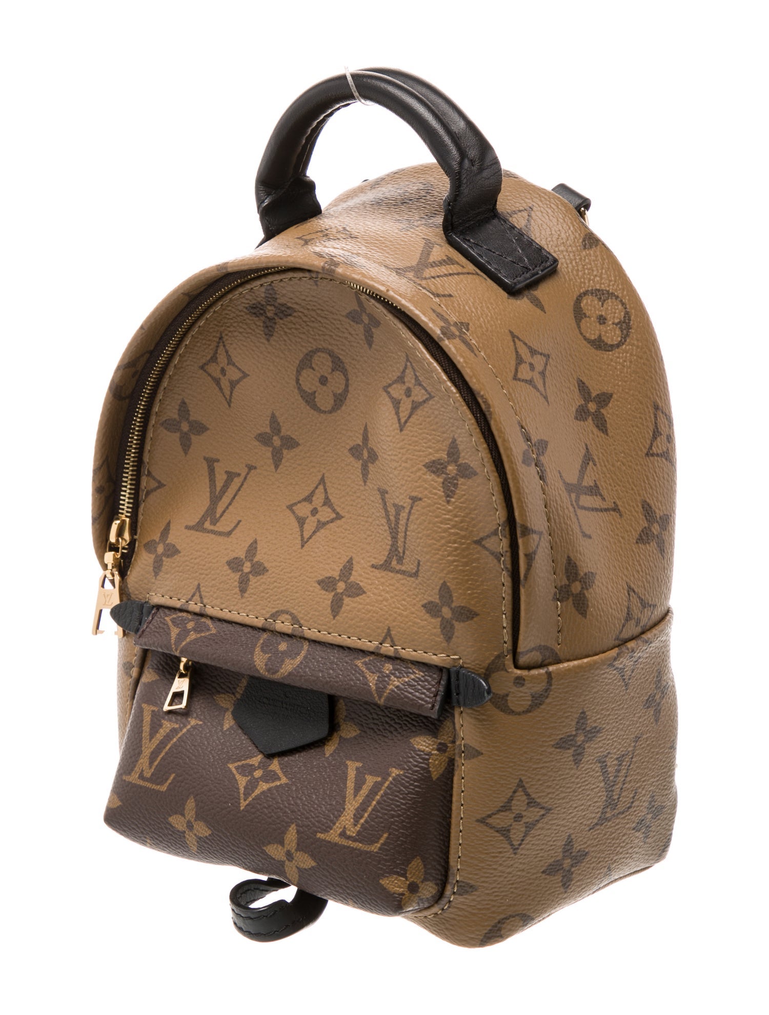 Louis Vuitton LV Monogram Palm Springs Mini