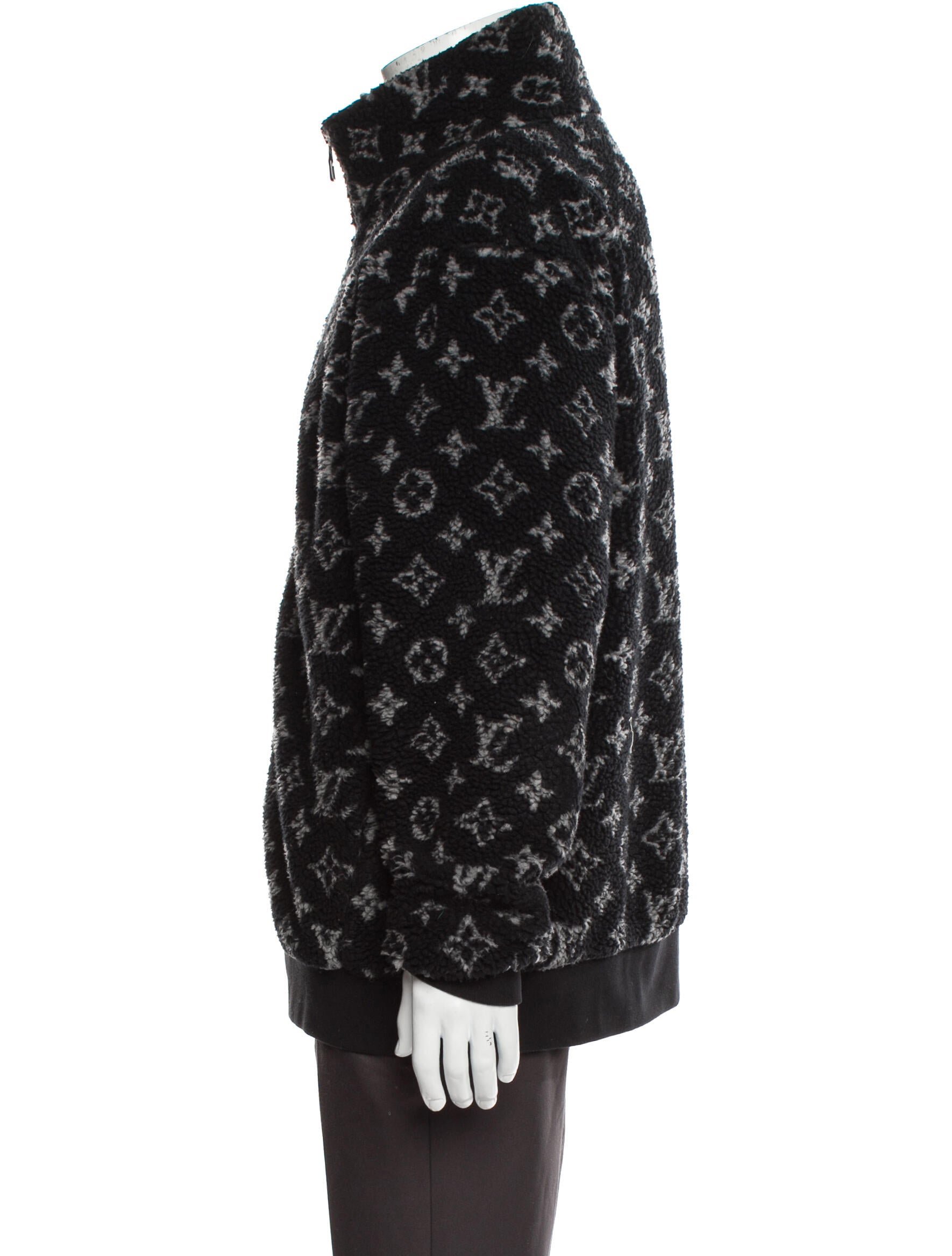 Louis Vuitton 2025 LV Monogram Windbreaker