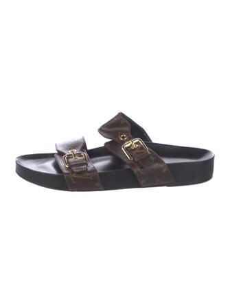 Louis Vuitton 2020 LV Monogram Slides