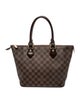 Louis Vuitton Damier Ebene Saleya PM