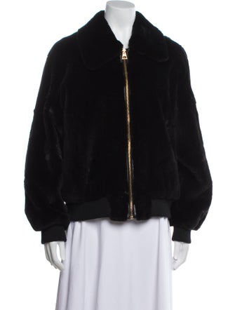 Louis Vuitton 2023 Mink Fur Jacket