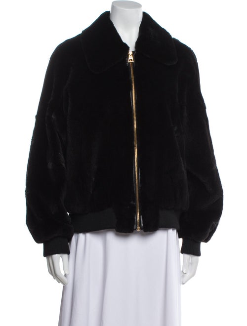 Louis Vuitton 2023 Mink Fur Jacket