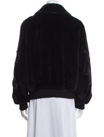 Louis Vuitton 2023 Mink Fur Jacket