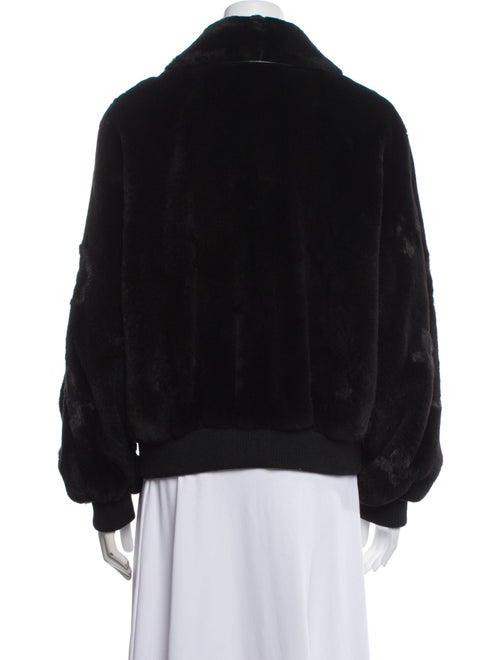 Louis Vuitton 2023 Mink Fur Jacket