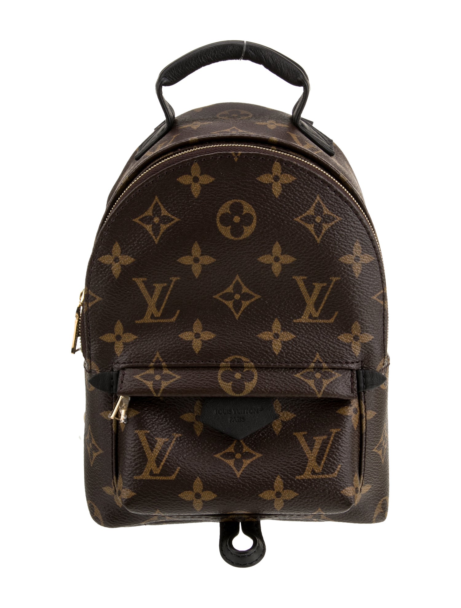 Louis Vuitton LV Monogram Palm Springs Mini