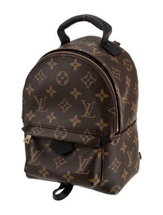 Louis Vuitton LV Monogram Palm Springs Mini