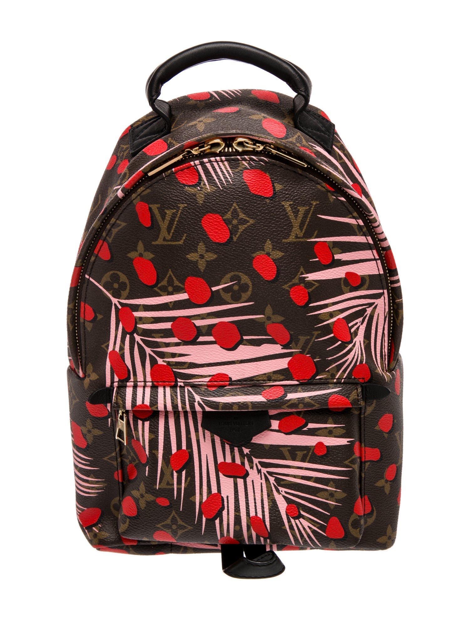 Louis Vuitton LV Monogram Palm Springs PM