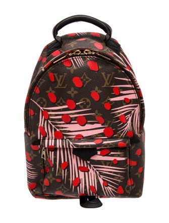 Louis Vuitton LV Monogram Palm Springs PM