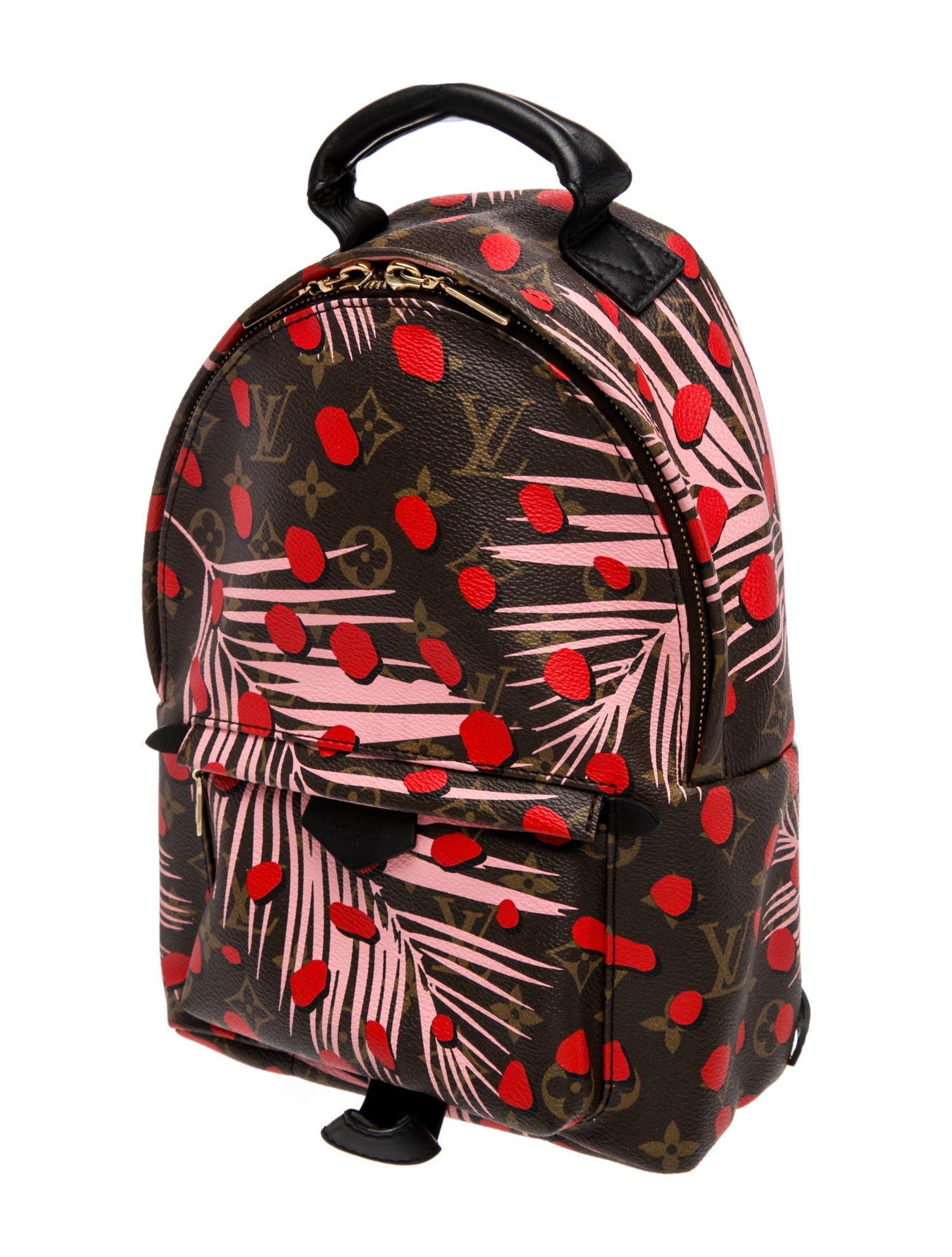 Louis Vuitton LV Monogram Palm Springs PM