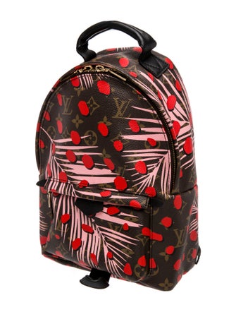 Louis Vuitton LV Monogram Palm Springs PM