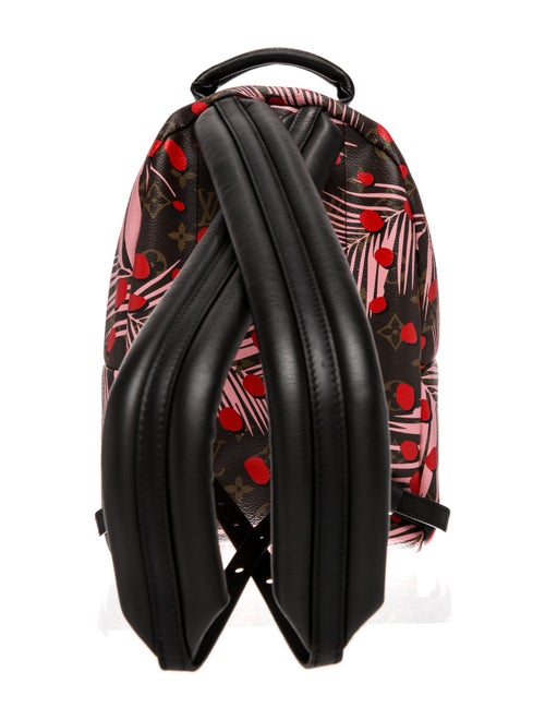 Louis Vuitton LV Monogram Palm Springs PM