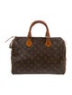 Louis Vuitton LV Monogram Speedy 30