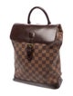 Louis Vuitton LV Monogram Soho