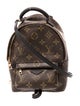Louis Vuitton LV Monogram Palm Springs Mini