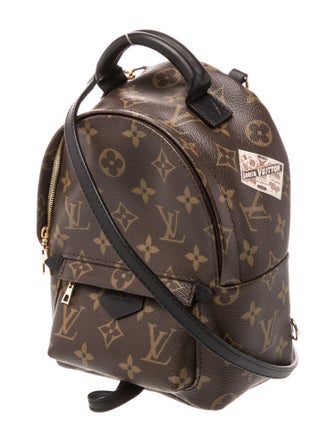 Louis Vuitton LV Monogram Palm Springs Mini