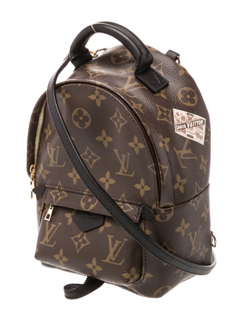 Louis Vuitton LV Monogram Palm Springs Mini