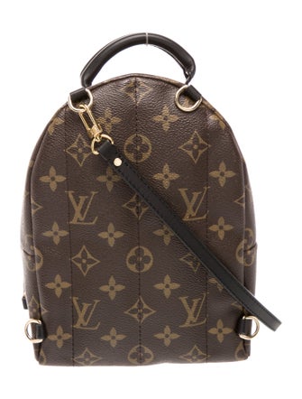 Louis Vuitton LV Monogram Palm Springs Mini
